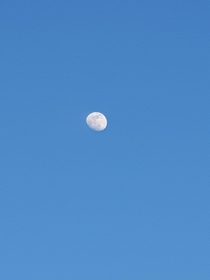  A photo of the Moon that I took with my phone in pretty much middle of the day