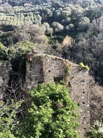  Abandoned forest  life continues to inhabit these ruins southern Italy March 