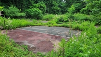  Abandoned Tennis Court Yorktown NY