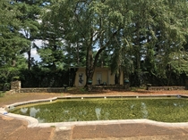  algae in the pool of an abandoned mansion  - Warrenton VA