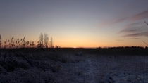 AM Sunrise Finland 