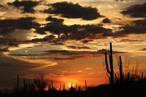  Arizona sunset