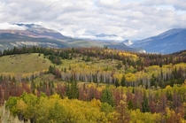  Autumn colors in Banff Alberta