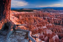  Bryce Canyon National Park Utah USA  Jay Patel