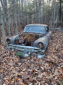  Chevy found in the woods near my house Michigan