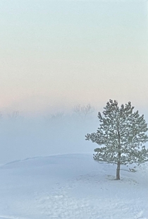  Fog in Denver Colorado 