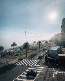  Foggy and sunny vibes in San Francisco