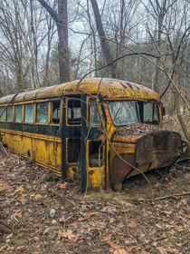  Found a bus 