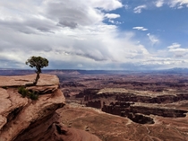  Grand View Point - Canyonlands National Park Utah x
