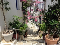  Greece - Island of Paros - In the white village of Lefkes