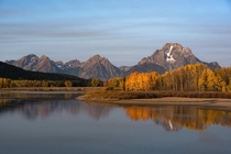  hours in the car and one speeding ticket later Fall in Grand Teton National Park 