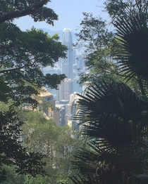  IFC Tower from Victoria Trail Hong Kong 
