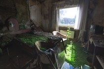  In a bed of Grass An abandoned hotel located in Braunlage Germany Torn Down