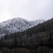  Is it half-winter or half-porn Ukraine Carpathian mountains