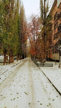  Leaves of Winter  Voronezh Russia