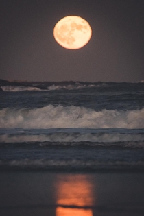  Moonrise 
