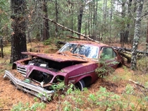  my nephew took a picture of an abandoned pontiac