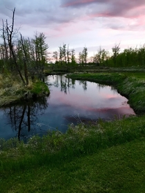  Norris Creek at sunset - central Alberta Canada 