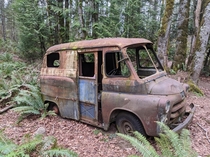  Old US Mail truck Found while on a run in Western Washington State