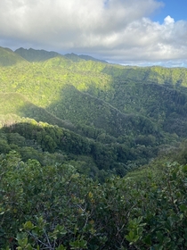 Palolo Valley Oahu About  at the peak of a ridge Very windy and chilly I live for these hikes 