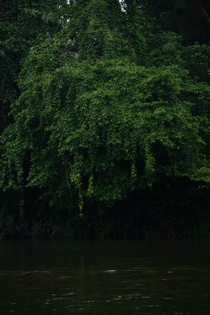  River Pamba Kerala India