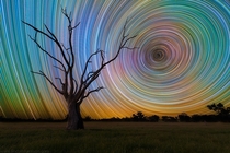  -second exposures of star trails make for a dizzying sky by Lincoln Harrison 