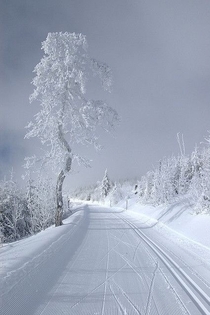  Snowy road