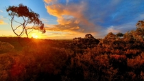  Sun setting over Australian Bush