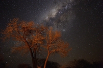  Taken about five days ago by our cooking fire in Chobe National Park Zimbabwe The stars are amazing there