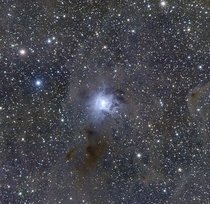  The Iris Nebula - NGC 
