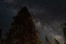  The Milky Way taken from Wawona Yosemite National Park