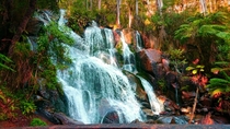  toorongo falls in Victoria