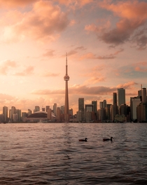  Toronto a view from the islands IG - knotty_