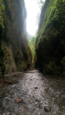  Traversing the Oneonta Gorge near Portland Oregon