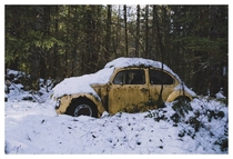  VW Beetle I stumbled across while snowshoeing in the woods