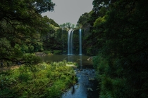  Whangerei Falls an oasis in the hot summer NZ x