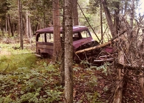  Willys abandoned  years ago in northern Michigan