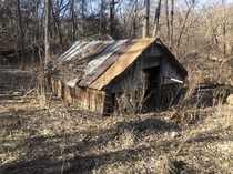  year old hog barn on the farm that has been in my husbands family for over  years Buried deep in the woods on the property