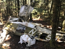  year old remnants of a plane crash in the Blue Ridge