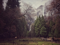  Yosemite Falls Yosemite