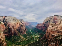  Zion from the top of Angels Landing   