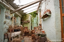 A abandoned house full of death plants in France 