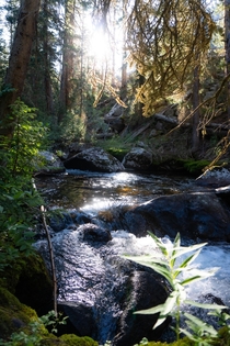 A babbling brook touched by sunlight above Lake Granby Colorado US 