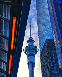 A beautiful view of Sky tower at sunset Auckland NZ
