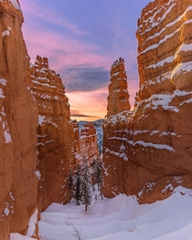A beautiful winter sunrise after a big snow storm in Bryce Canyon 