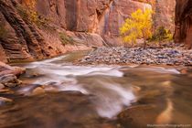 A bend in the Narrows Zion NP Utah 