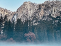 A bit moody- Yosemite California USA 