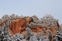 A blanket of snow covers the brilliant red peaks of Zion National Park Utah 