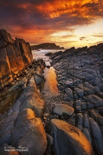 A blazing sunrise at Pebbly Beach in Crescent Head on the north coast of New South Wales Australia 