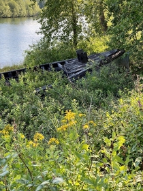 A boat being reclaimed by nature